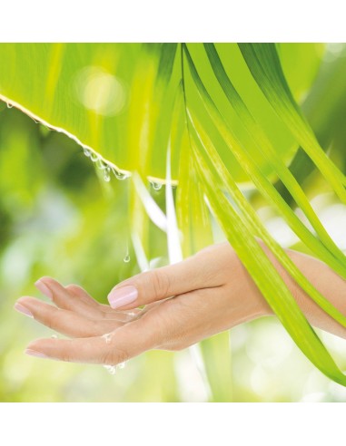 Sapone Liquido Mani Bianco Igienizzante 5 kg | Bugari Shop