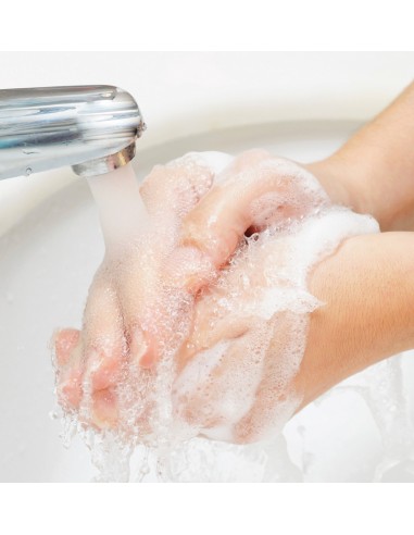 Sapone Mani Igienizzante Antibatterico 500 ml | Bugari Shop