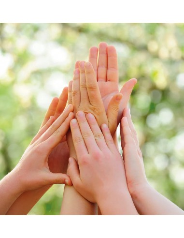 Sapone Mani Igienizzante Antibatterico 500 ml | Bugari Shop