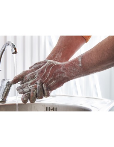 Pasta Lavamani Professionale 4 kg | Bugari Shop