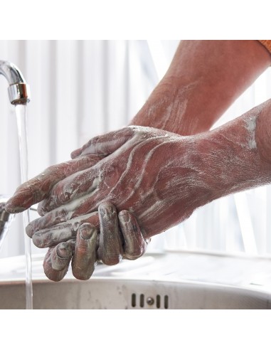 Ricarica Gel Lavamani Forte 2 lt | Modular System | Bugari Shop