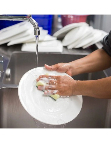 Detersivo Piatti Ultraconcentrato 5 kg | Bugari Shop