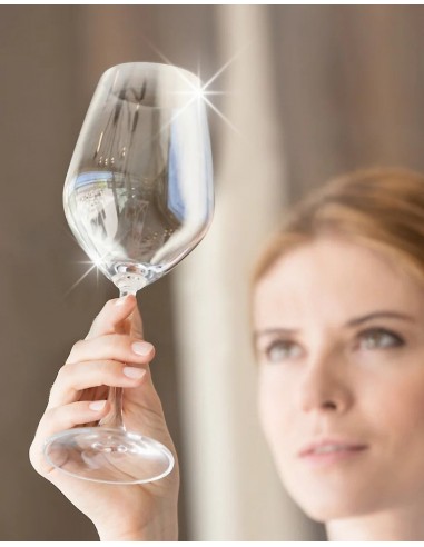 Brillantante Lavastoviglie 5 kg | Bugari Shop