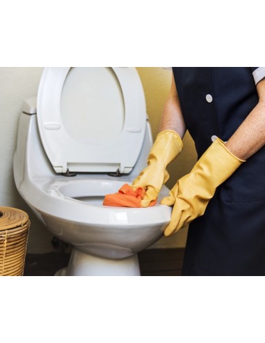 Detergente Igienizzante al Cloro 1000ml | Bugari Shop