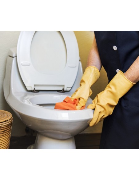 Detergente Disincrostante Acido 1000ml | Bugari Shop