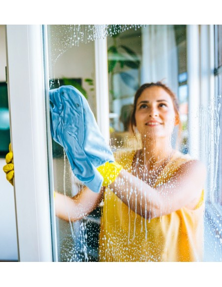 Detergente Vetri Professionale 750ml | Bugari Shop