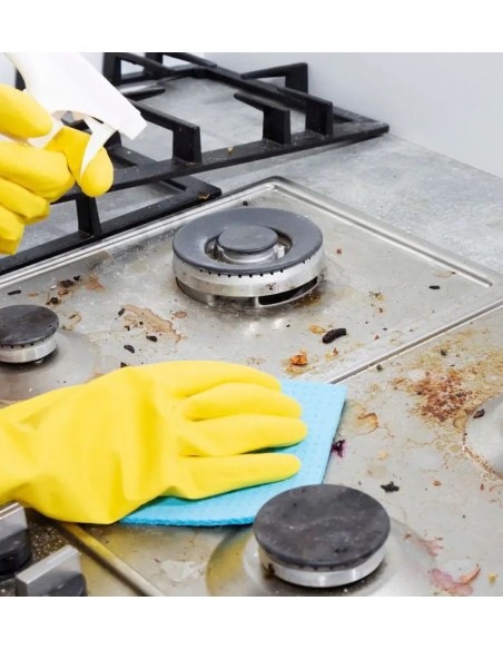 Sgrassatore Forno e Piastre 750ml | Bugari Shop