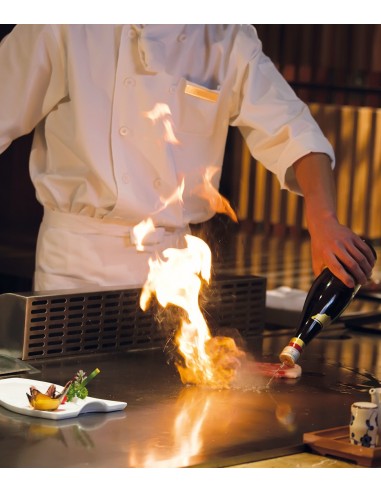 Sgrassatore Forno e Piastre 750ml | Bugari Shop