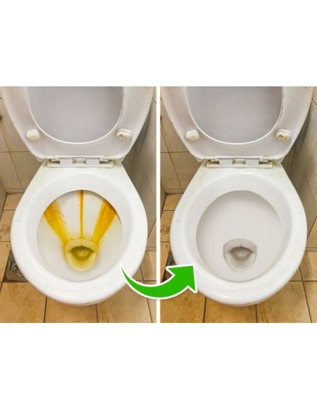 Disincrostante WC 750ml Gel Professionale | Bugari Shop