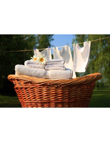 Candeggina 2000ml Sbiancante e Disinfettante | Bugari Shop