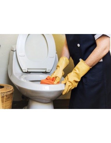 Ammoniaca 2000ml Sgrassante e Igienizzante | Bugari Shop