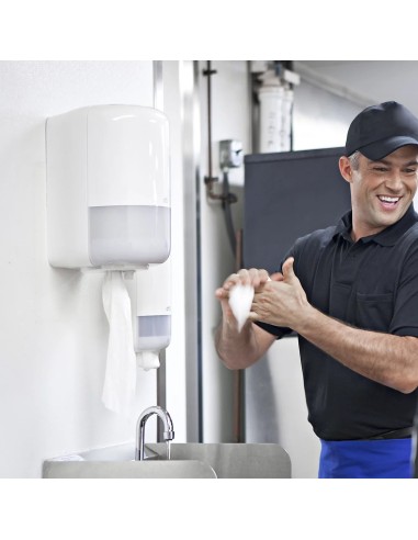 Asciugamani di carta monouso a estrazione centrale – 1,6 kg | Bugari Shop