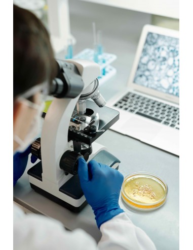 Guanti Hi Risk Lattice Super Resistenza 50 Pz | Bugari Shop