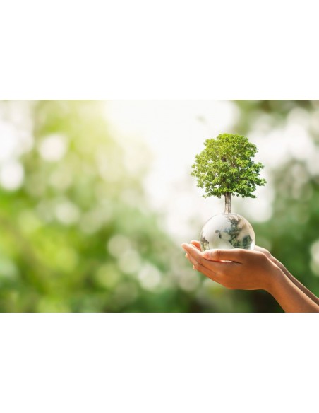 Nastro Adesivo Carta Gommata Rinforzato | Bugari Shop