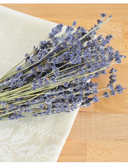 Ammorbidente Lavanda 5 kg | Bugari Shop