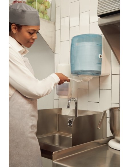 Dispenser asciugamani carta estrazione centrale | Bugari Shop