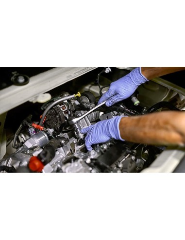 Guanti Monouso Nitrile Lunghi 50 Pz | Bugari Shop