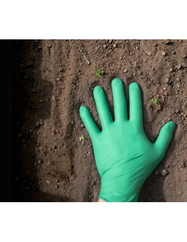 Guanti Monouso Nitrile Biodegradabili 100 Pz | Bugari Shop